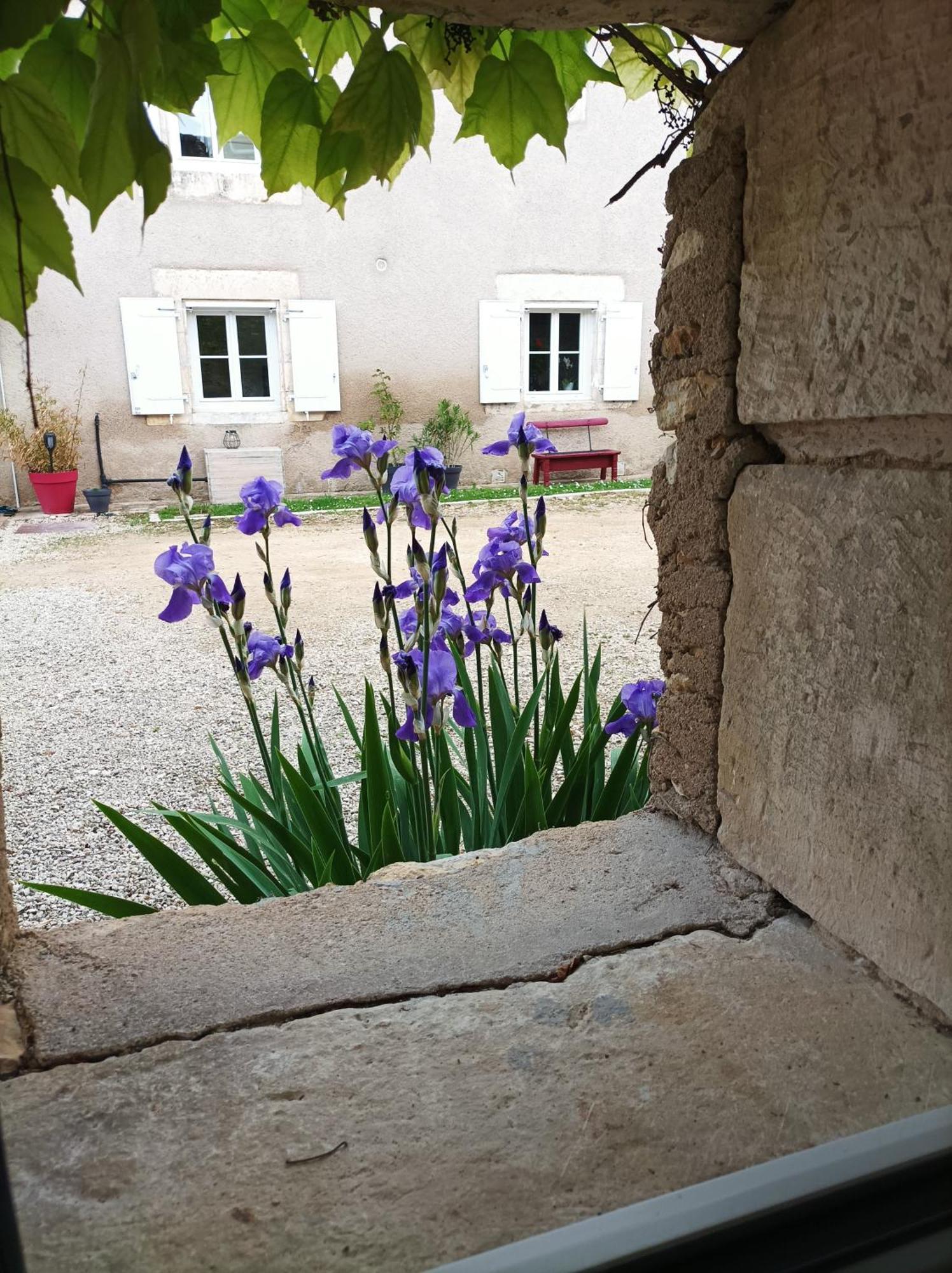 Les Iris - Chambre Chene Avanton Extérieur photo